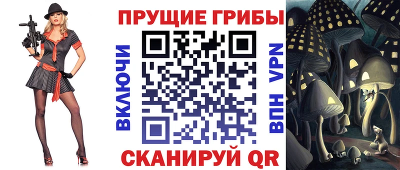 где найти   дарк нет клад  Псилоцибиновые грибы MAGIC MUSHROOMS  Демидов  KRAKEN ссылка 
